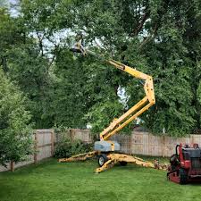  Kearney Park, MS Tree Care Pros